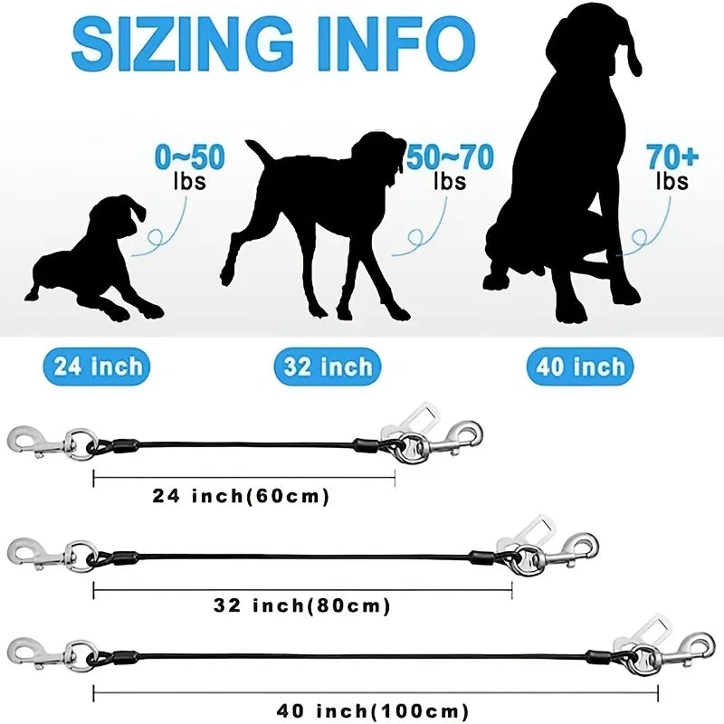 Correa con sujecion al cinturon de seguridad