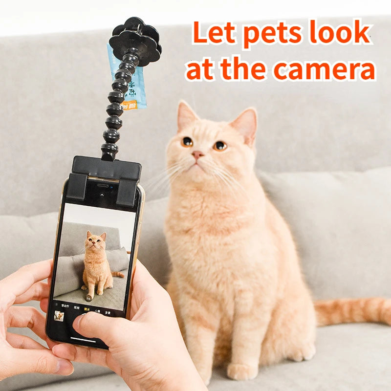 Palo selfie para mascotas, accesorio para selfies, juguetes para perros y gatos, clip para teléfono con cámara, toma fotos de tu mascota (perro o gato) y accesorios.