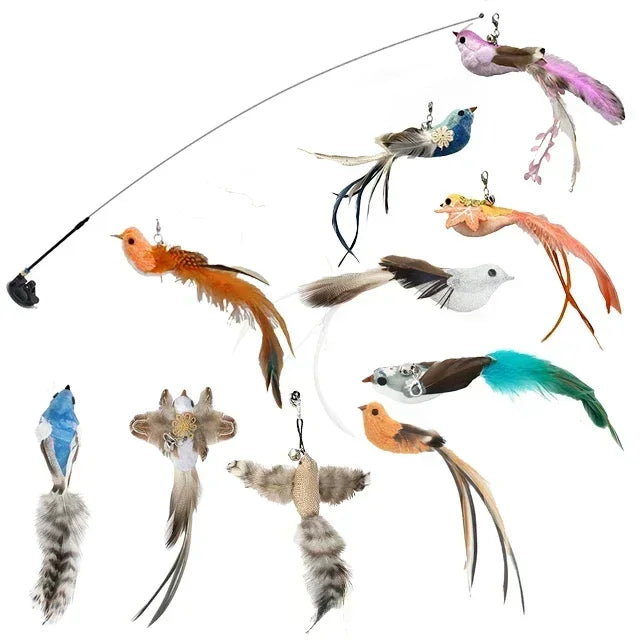 Juguete interactivo para gatos con forma de pájaro, divertido y divertido, con forma de pavo real y cascabel. Ideal para gatitos y mascotas.