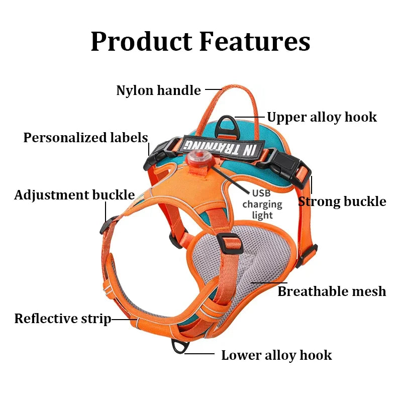 Arnés para perros con luz y carga USB. Chaleco con correa ajustable y transpirable