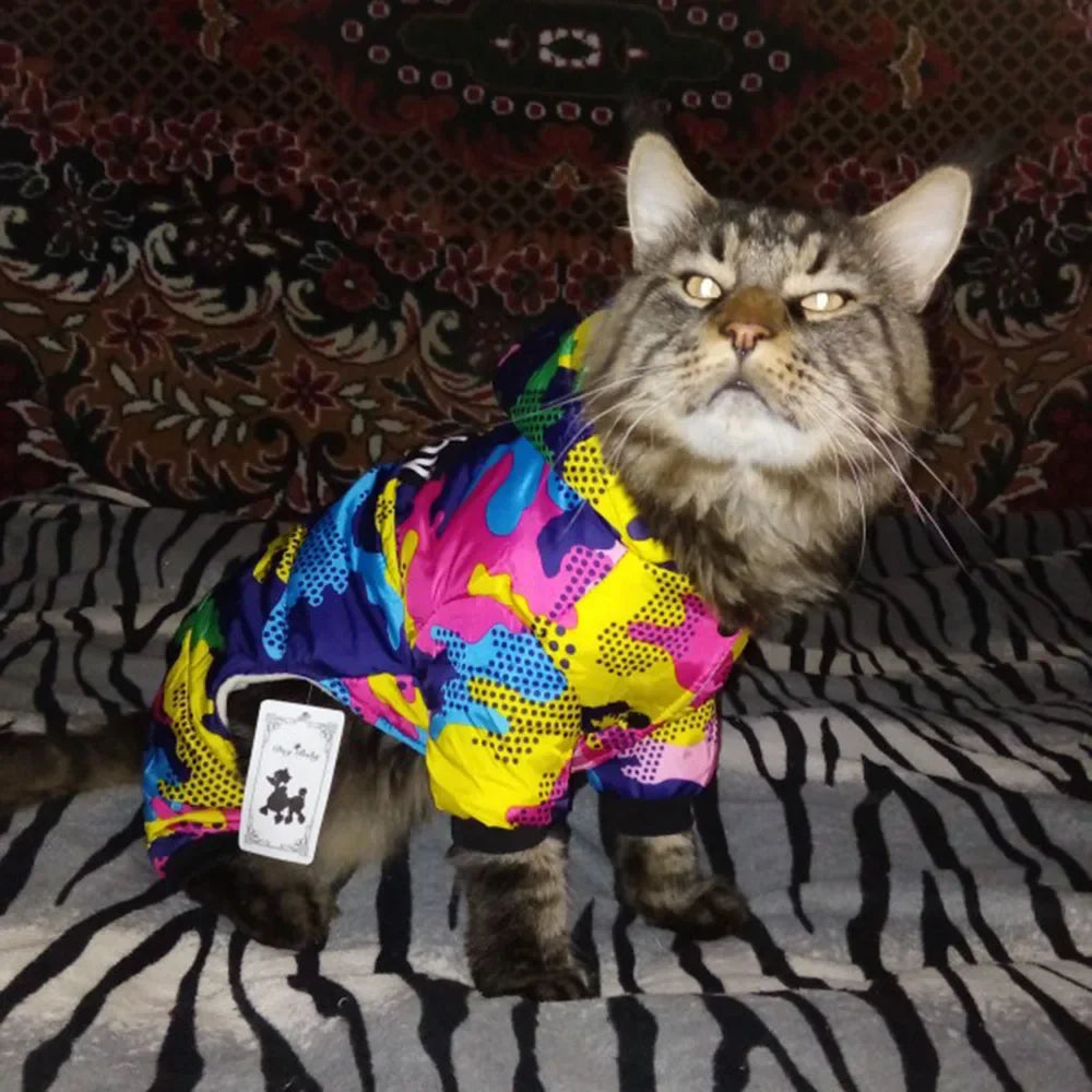 Abrigos impermeables para perros pequeños, resistentes al viento y cálidos, de cuerpo entero, para cachorros.