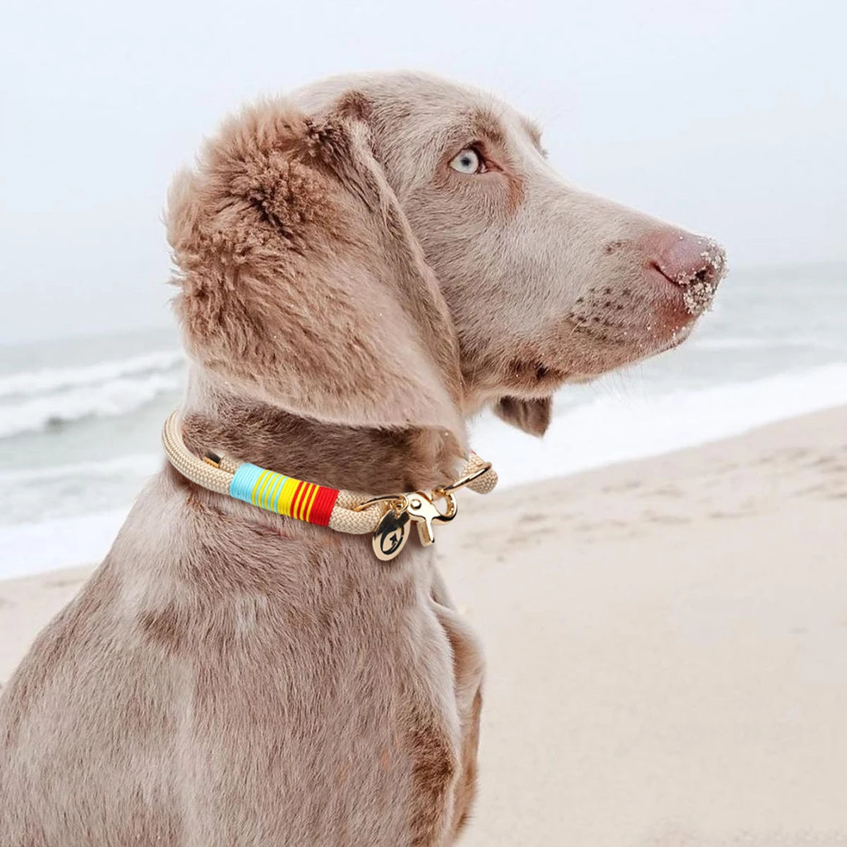 Collar para perro arcoíris trenzado de paracord colorido, anillo para el cuello para perros