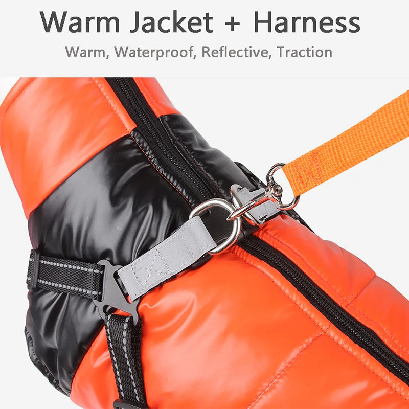 Chaqueta para perro con arnés, ropa de invierno cálida para perros pequeños y medianos, impermeable, para mascotas, disfraz para chihuahua y bulldog francés