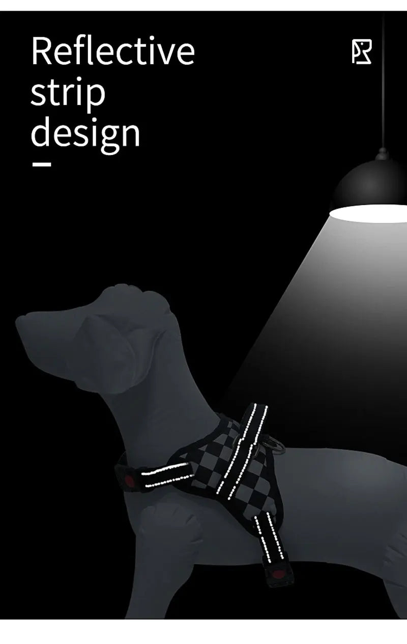 Arnés para perros de nailon resistente, collar antiexplosiones de poliuretano.