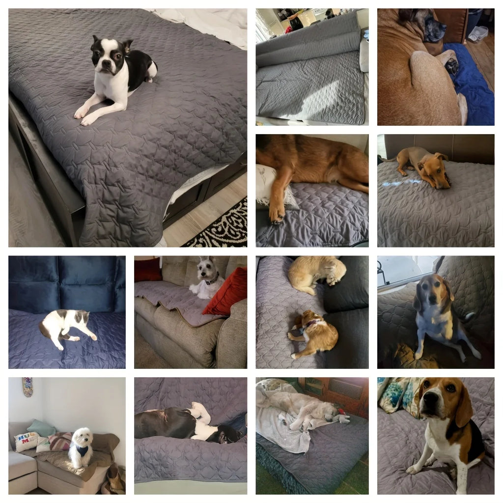 Funda impermeable de doble cara para cama de perro, manta para mascotas, protector de sofá y muebles para perros