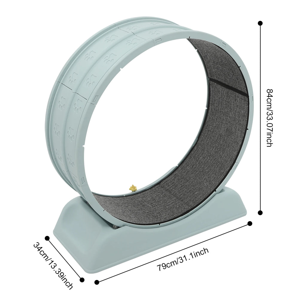Rueda de correr para gatos, rueda de ejercicio circular para gatos, cinta de correr de plástico