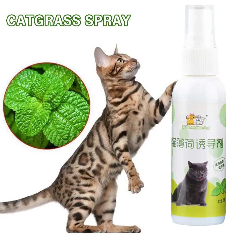 Catnip, menta gatera spray natural no toxico