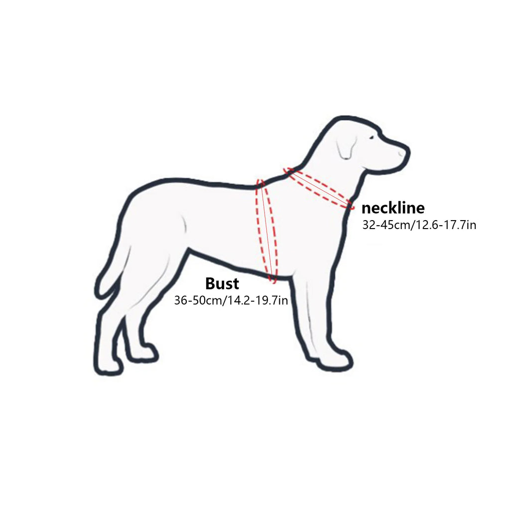 Halo para mascotas ciegas: arnés ligero y práctico para evitar colisiones