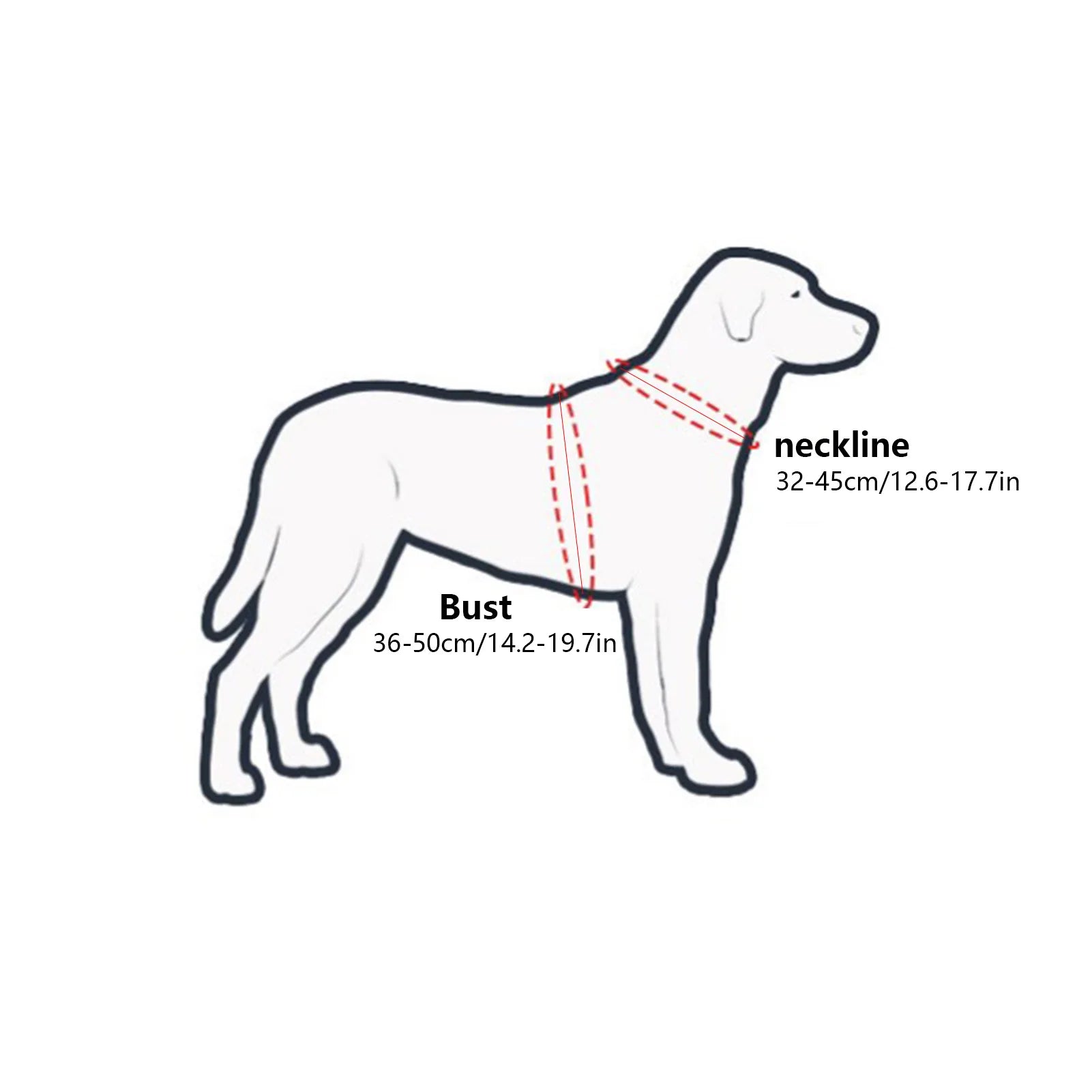 Halo para mascotas ciegas: arnés ligero y práctico para evitar colisiones