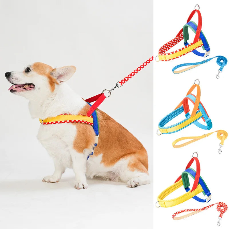 Arnés ajustable Ooduduoo para perros pequeños y medianos.