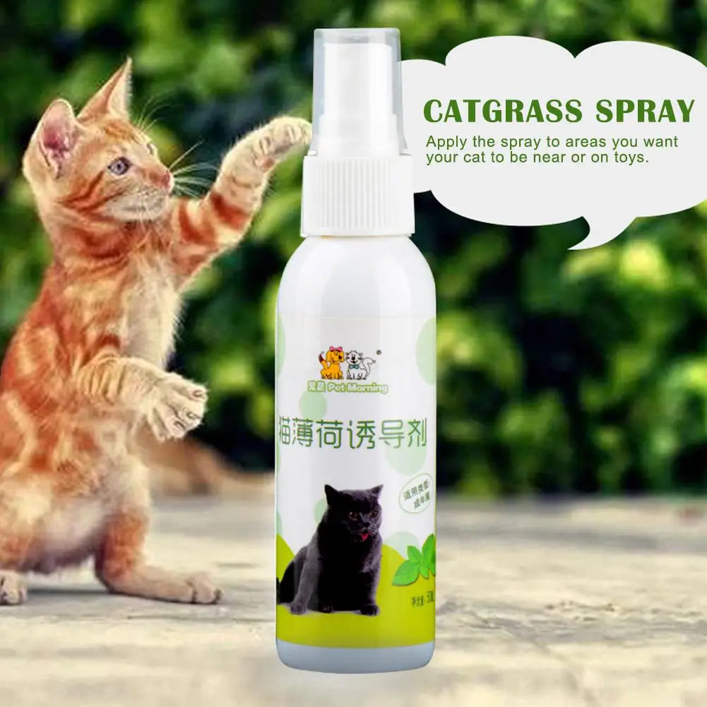 Catnip, menta gatera spray natural no toxico