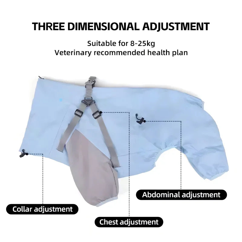 Abrigo impermeable para mascotas, chaqueta con capucha para cachorros, ideal para días lluviosos y para exteriores.