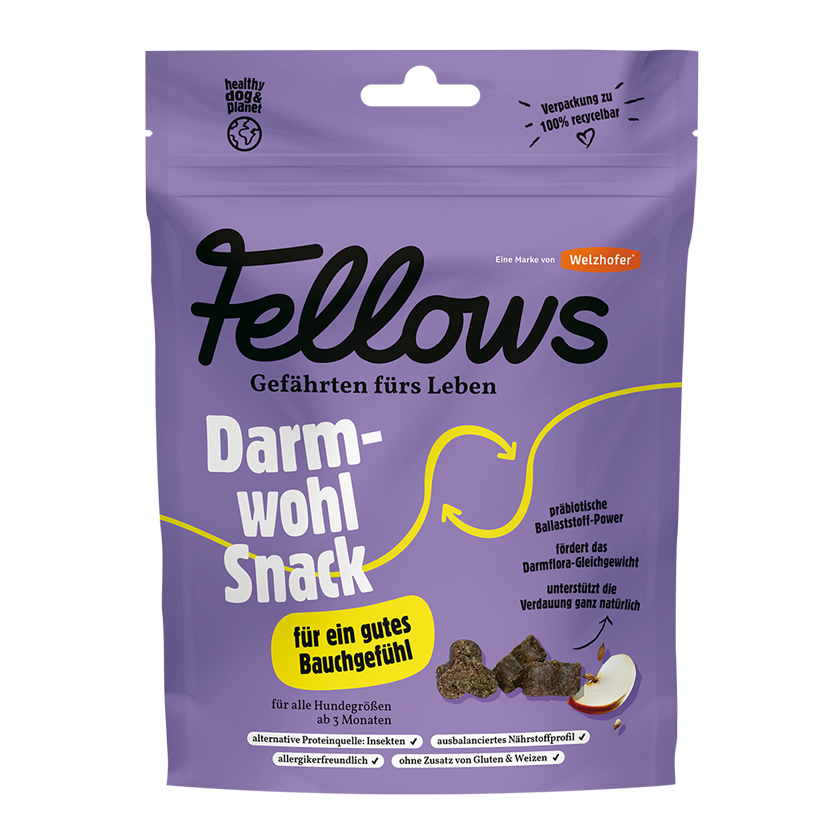 Snacks Digestivos de Proteína de Insecto para Perro