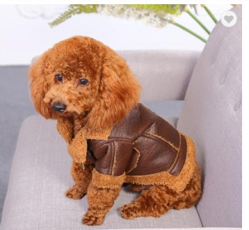 Chaqueta de Cuero para Perro Ropa de Otoño e Invierno