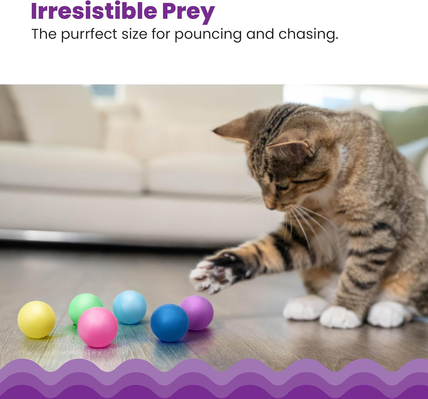 Gato jugando con las bolas fuera de la pista