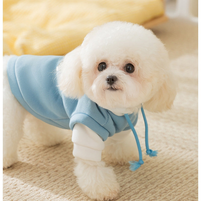 Sudadera con Capucha y Estampado para Perro Mascota ideal Otoño Invierno