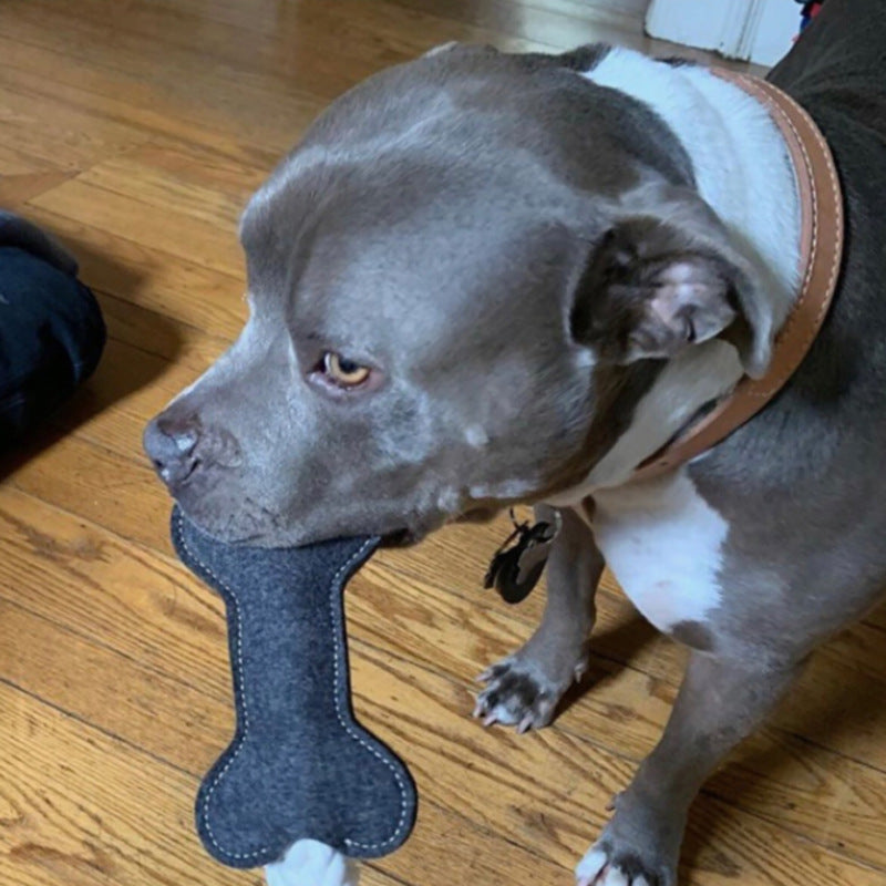 Perro con juguete con forma de hueso de fieltro para perro color negro