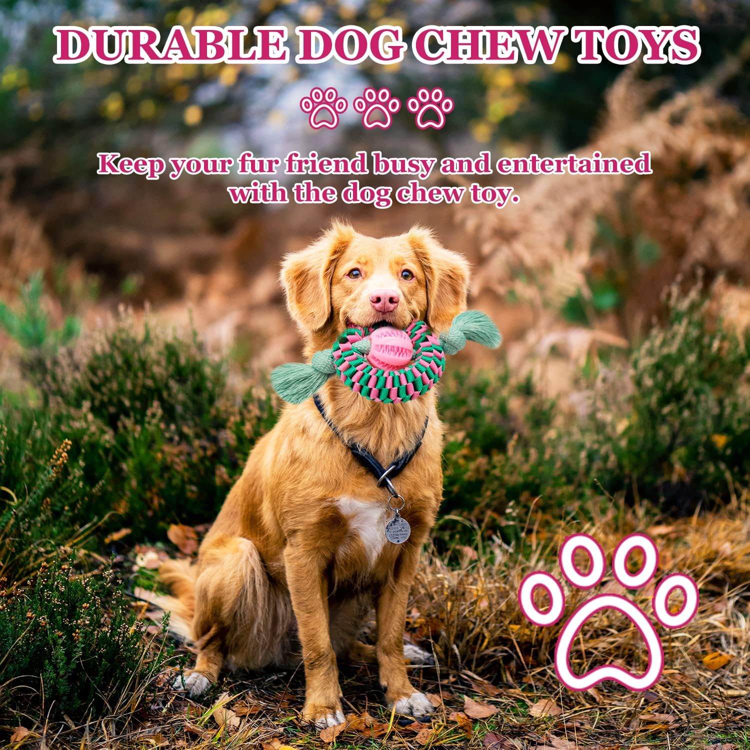 Juguete Masticable para Perro Pelota Dispensadora de Comida Cuerda Nailon Trenzado