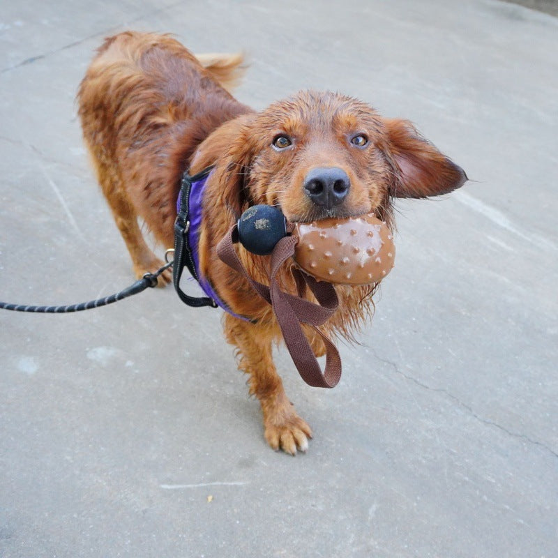 Juguete Forma Grano de Café para Perro Mascota  Limpieza Dientes, Cuerda con Nudo.