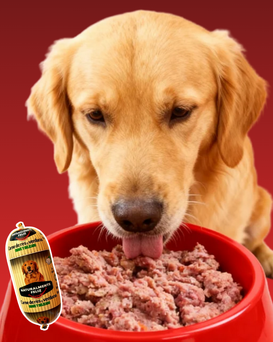 Menú x12 Perro - 5,4 Kg Ternera fresca con verduras