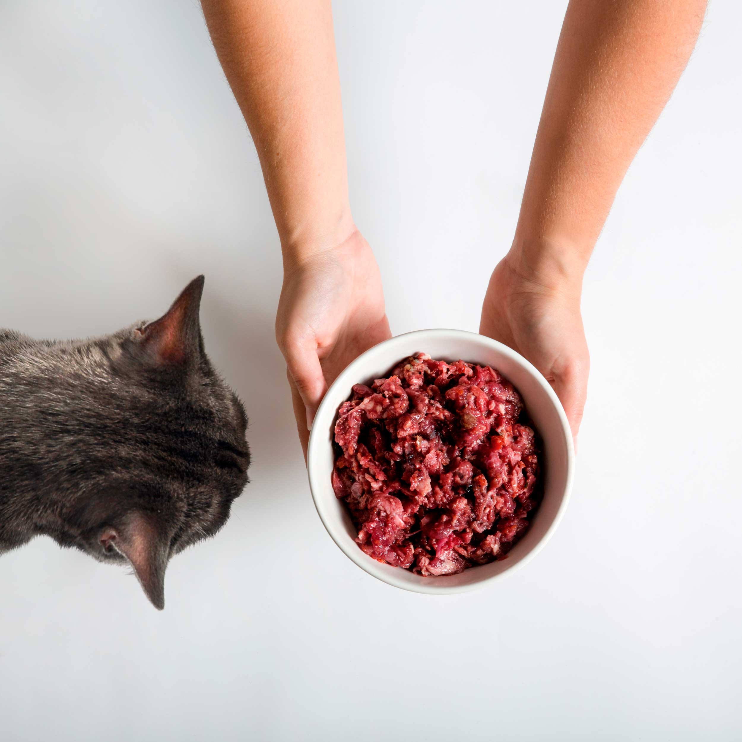 Ultra CRU Box Menú de Dieta BARF para Gato 30 paquetes 500 Gramos