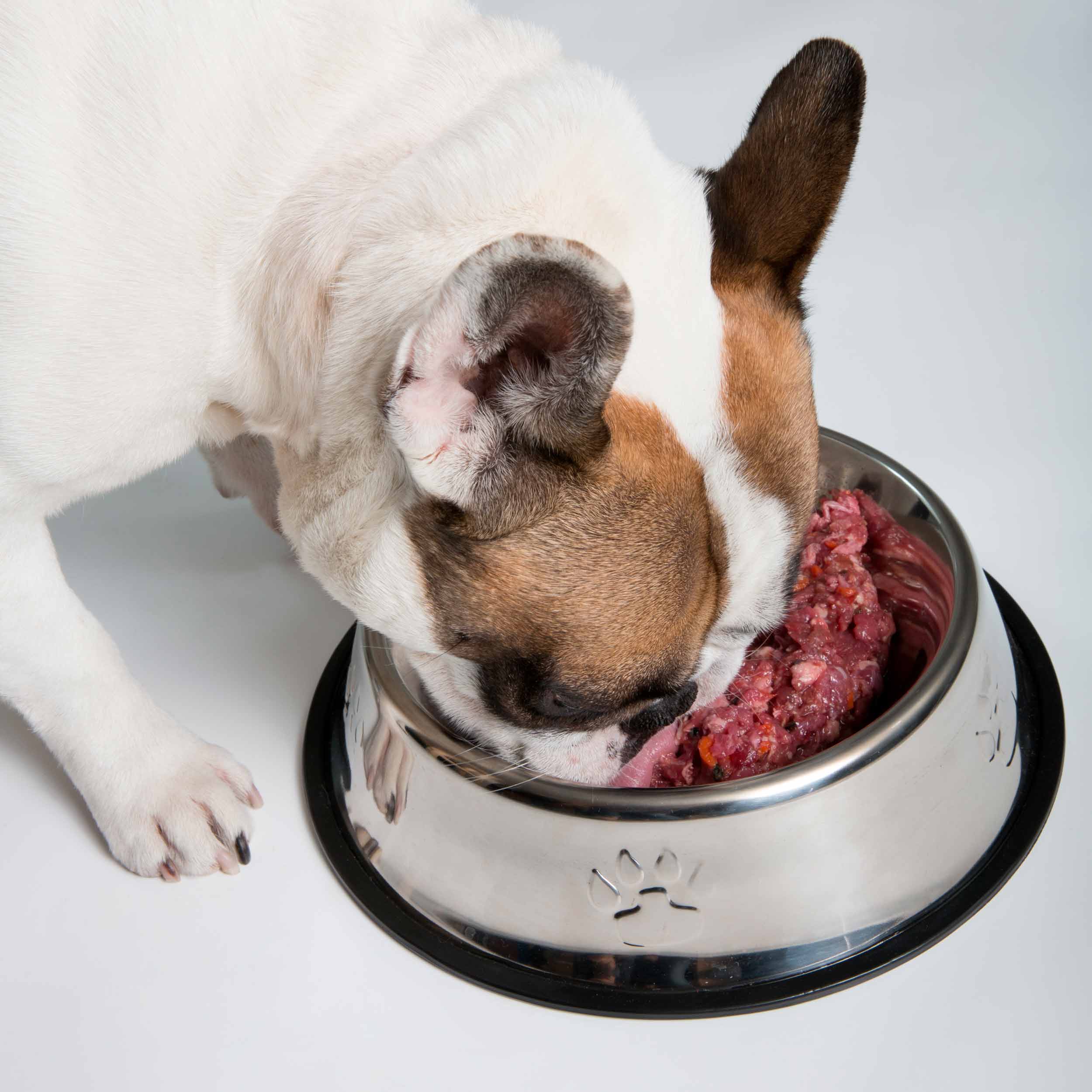 Ultra CRU Box Menú de Dieta BARF para Perro 30 paquetes 500 Gramos