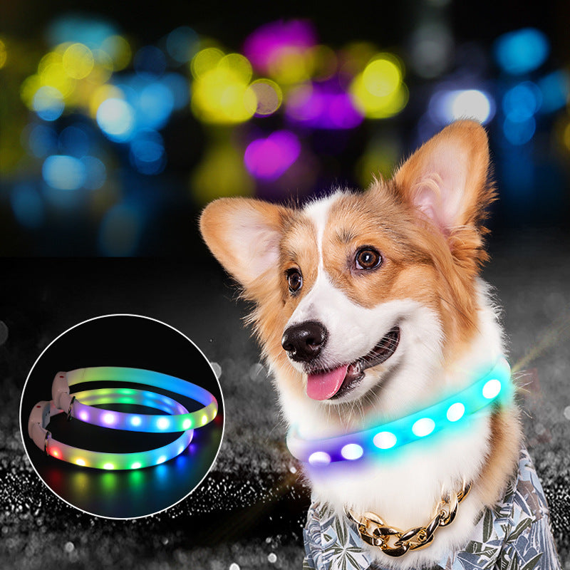 Collar Luminoso LED para Perro, Recargable por USB,  Luces Intermitentes