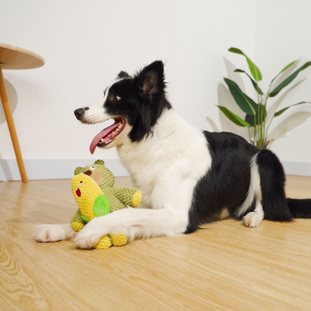 Juguete Interactivo de Perro para Limpieza de Dientes Resistente a Mordeduras.