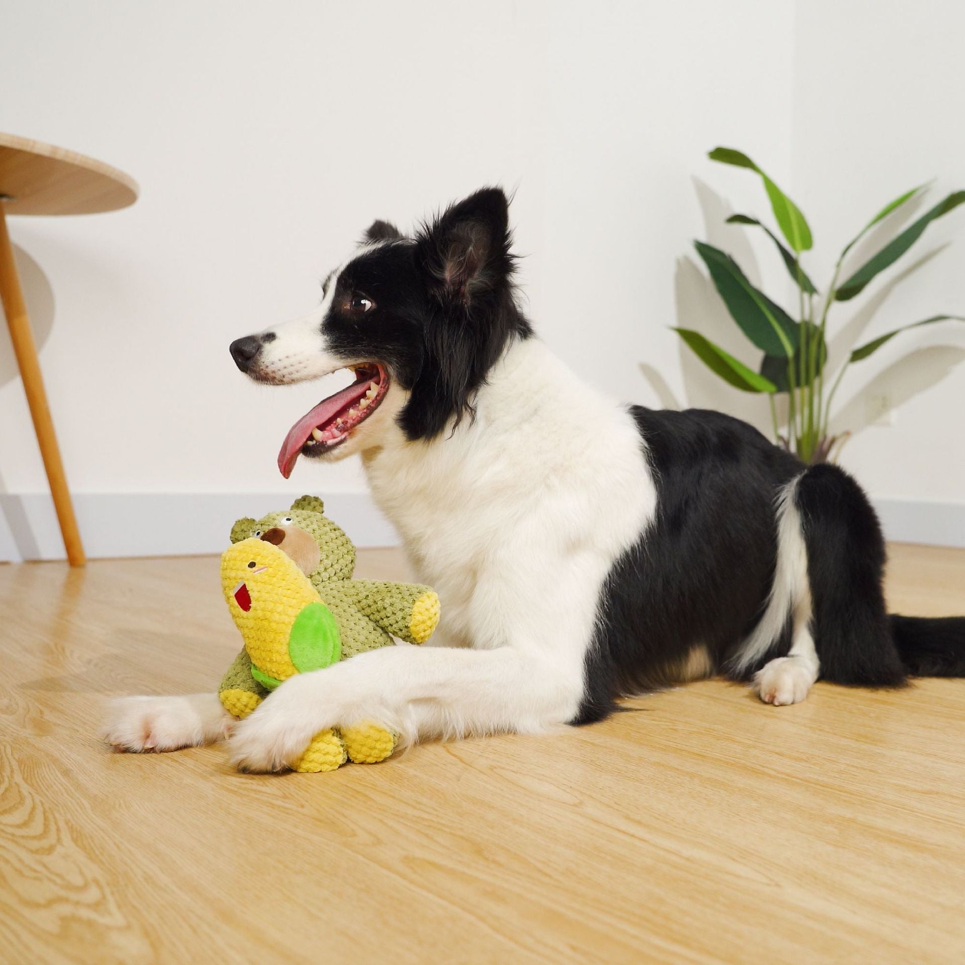 Juguete Interactivo de Perro para Limpieza de Dientes Resistente a Mordeduras.
