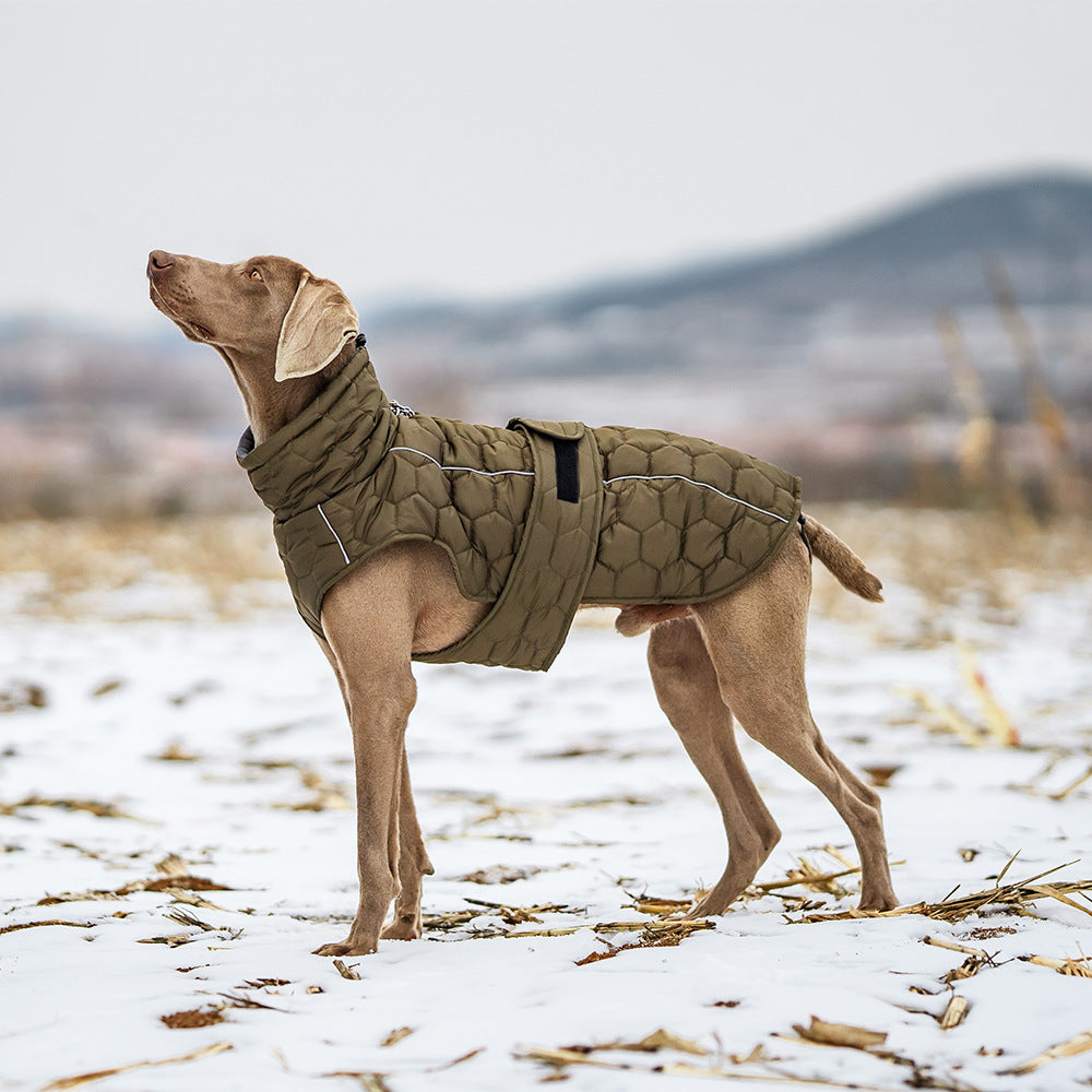 Ropa Invierno para Mascota Perro