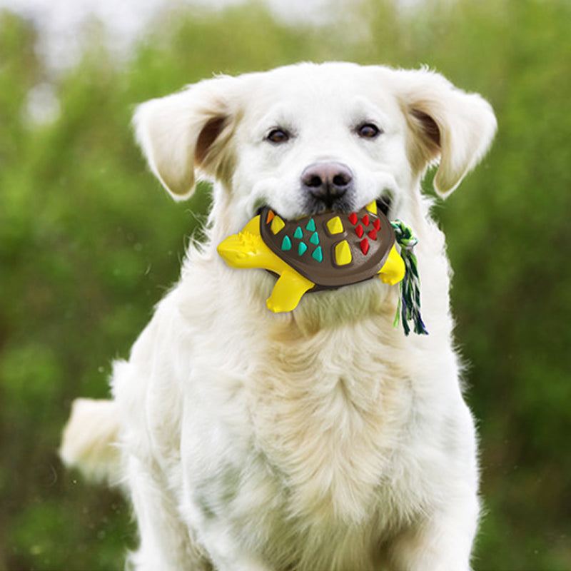 Juguete Interactivo Masticable Limpiador de Dientes de Caucho Natural para Perro Mascota