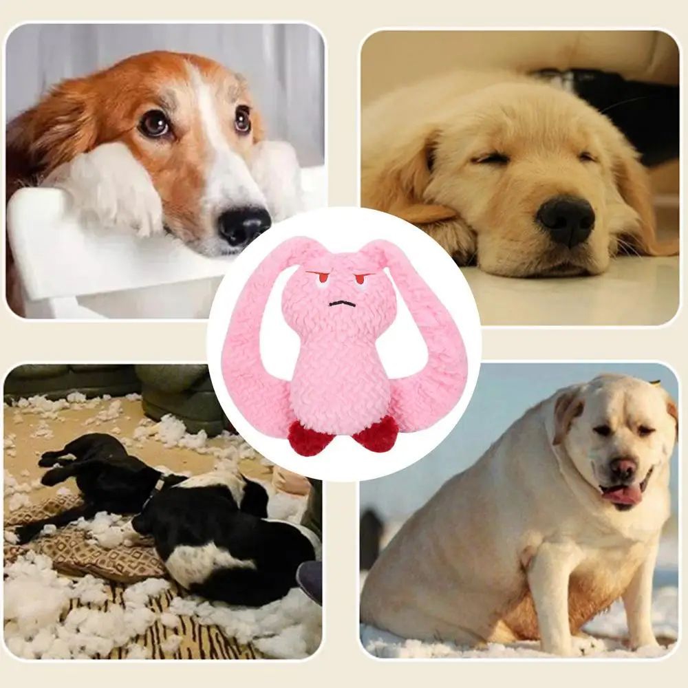 Juguete Peluche con Sonido para la Dentición para Perro