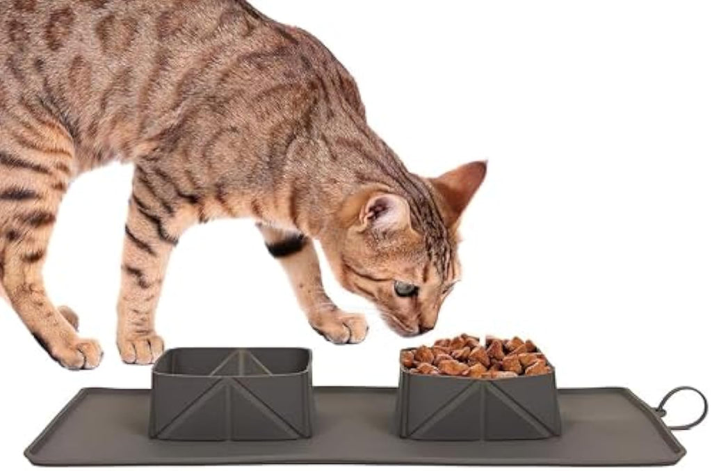 Comedero Portátil para Viaje Paseo de Silicona para Perro Gato Mascotas