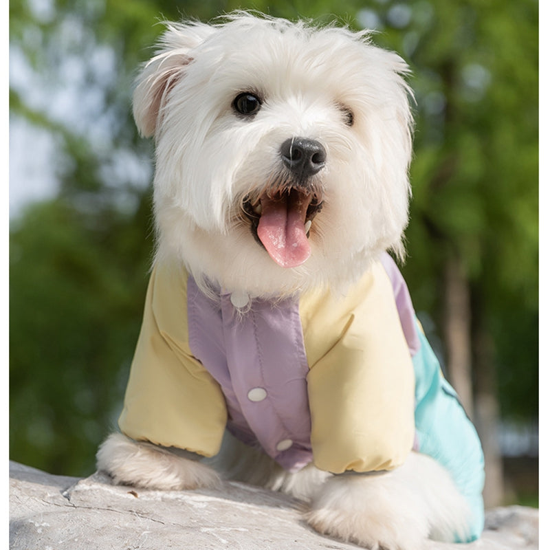 Chaqueta Elegante y LLamativa de Algodón con Bolsillo para Perro Mascota