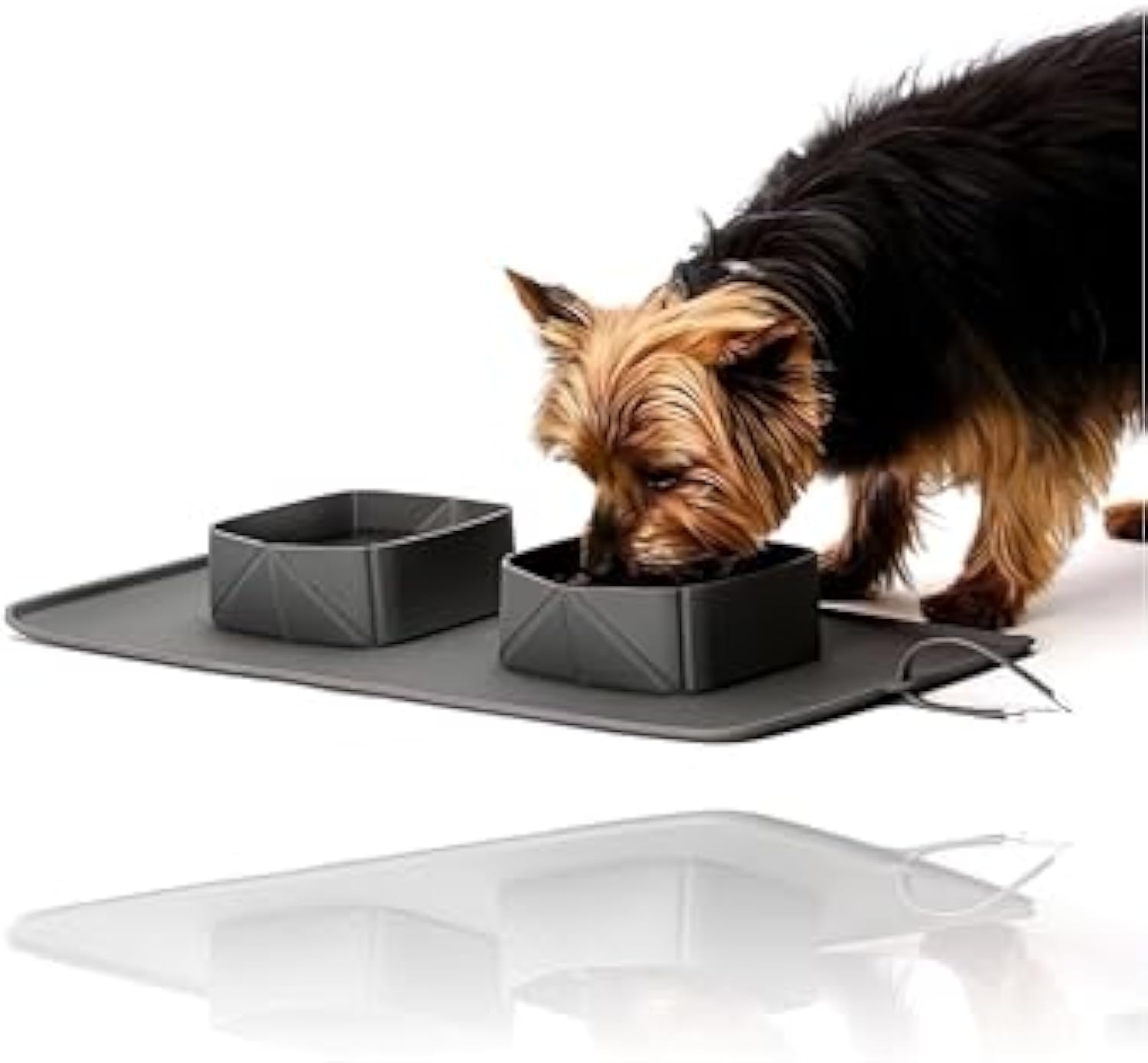 Comedero Portátil para Viaje Paseo de Silicona para Perro Gato Mascotas