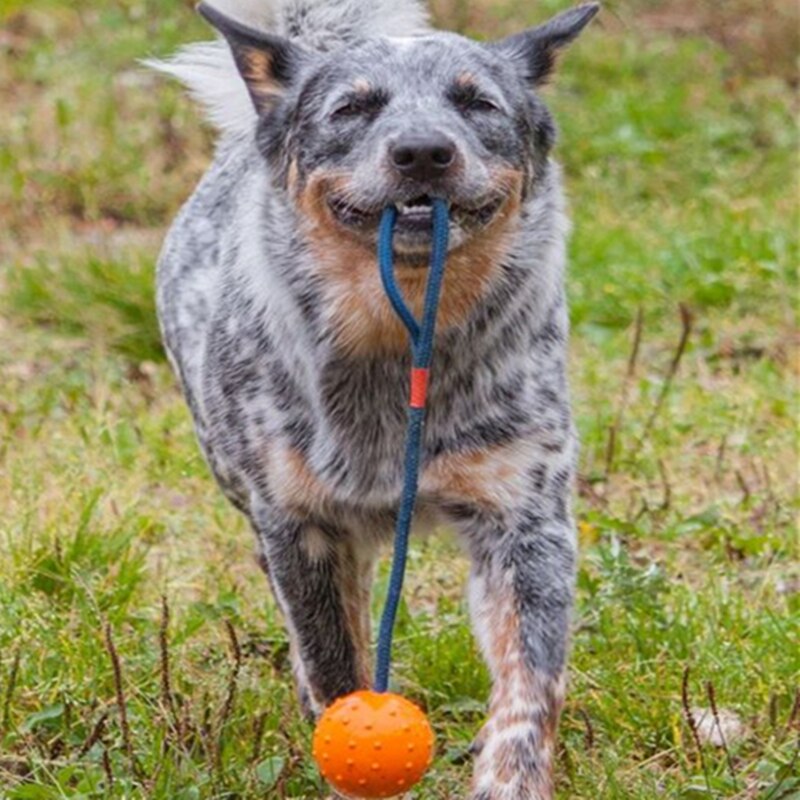 Juguete Mascota Perro Pelota Entrenamiento para Perros con Cuerda de Goma