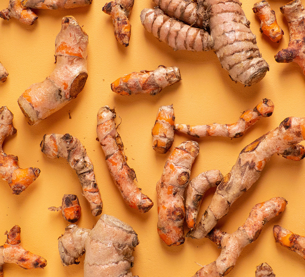 Gato y Perro Suplemento Nutricional 100% Organico de Cúrcuma Coco y Jengibre