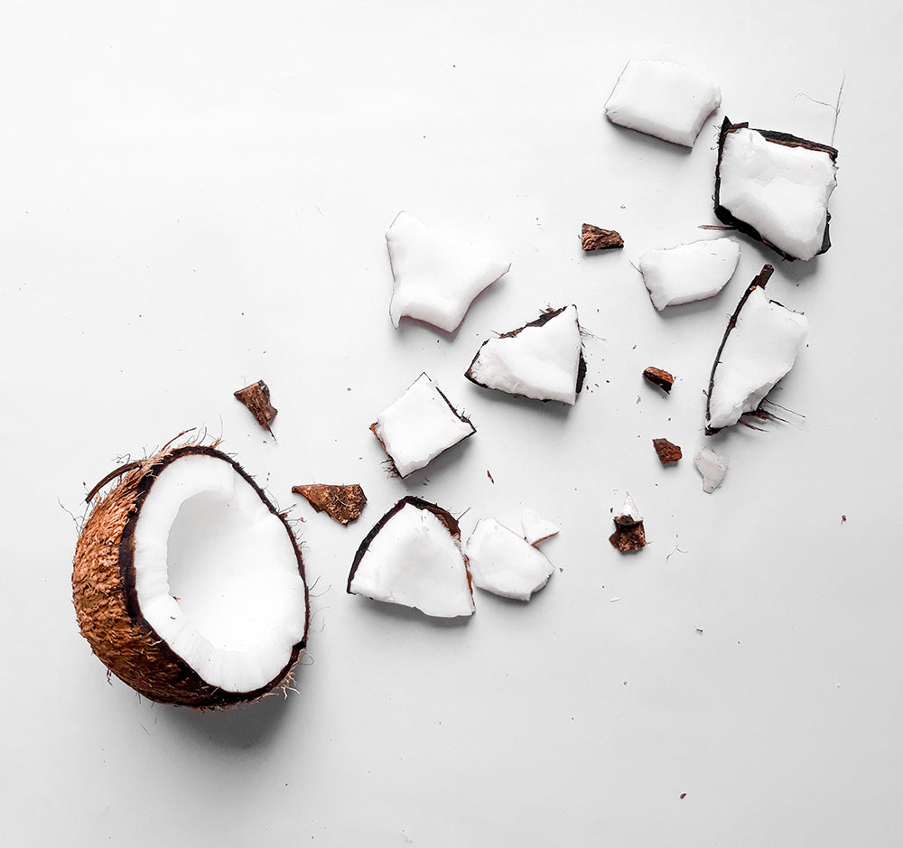 Complemento  Nutricional de Coco y Espirulina para Perro y Gato