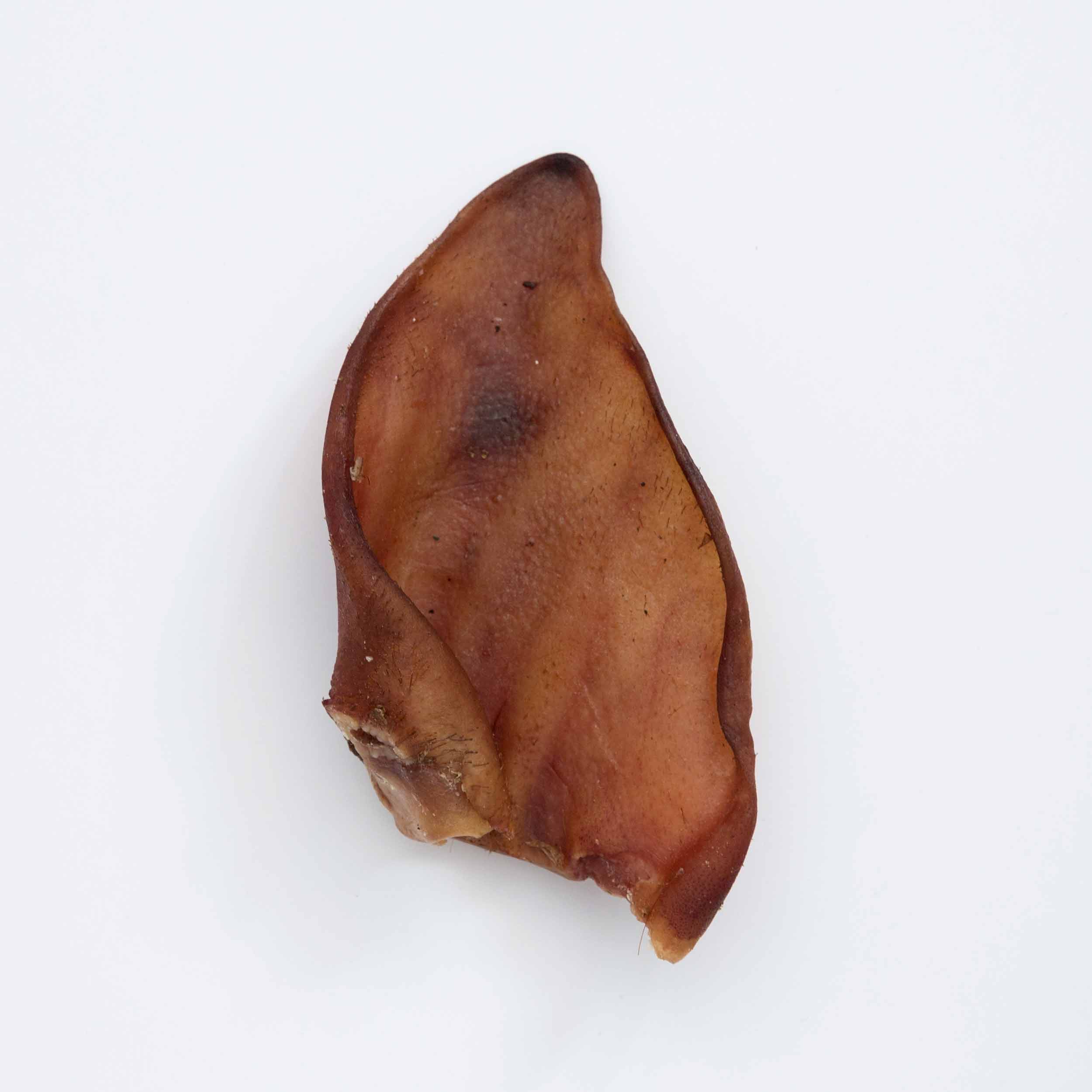 Snack Oreja de Cerdo Deshidratada 100% Natural para Perro