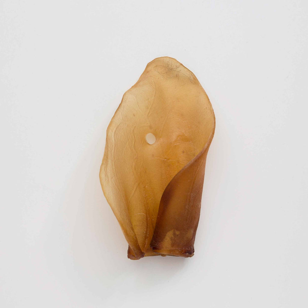 Snack de Oreja de Ternera Deshidratada 100% Natural para Perro