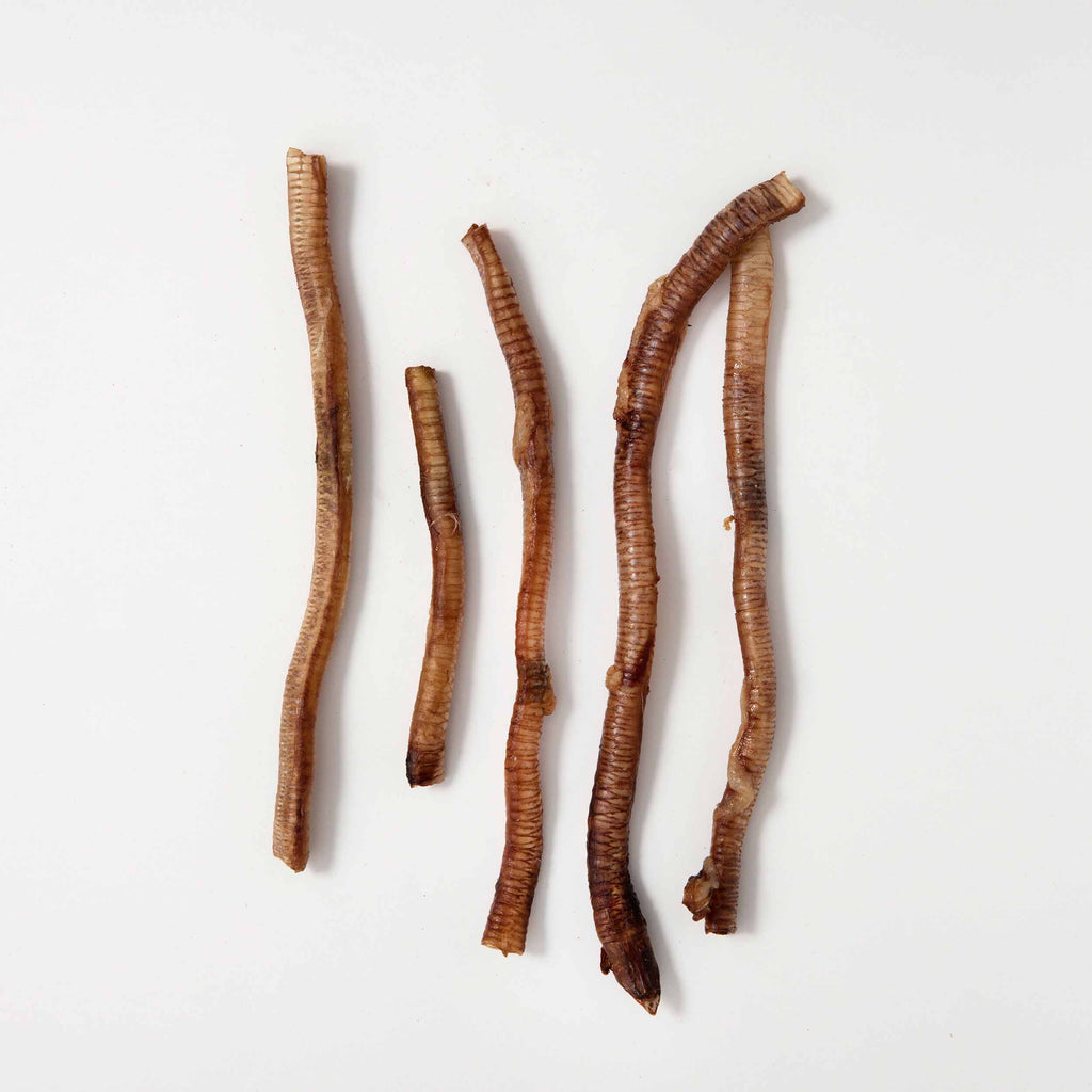 Snacks Tráqueas de Pato Deshidratadas 100% natural para Perro y Gato