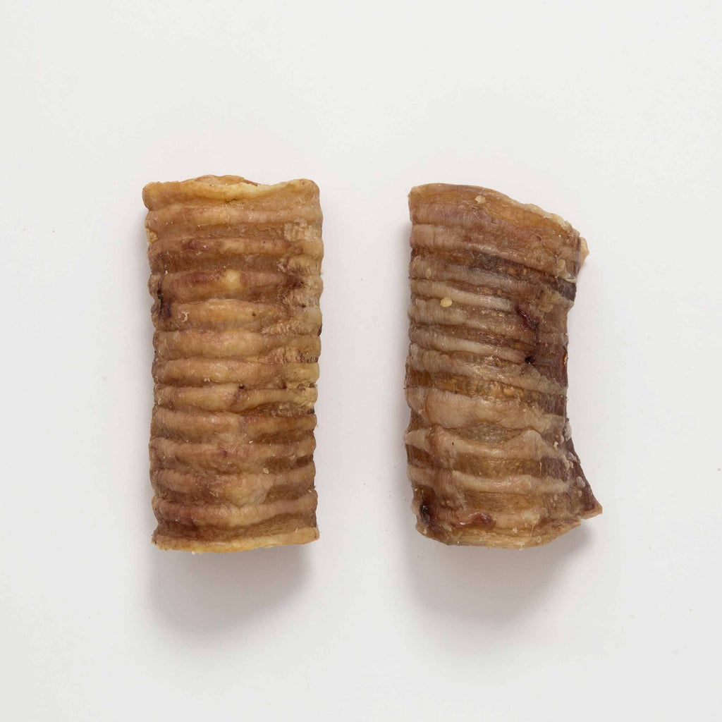 Snack de Tráquea de Ternera Deshidratada 100% Natural para Perro