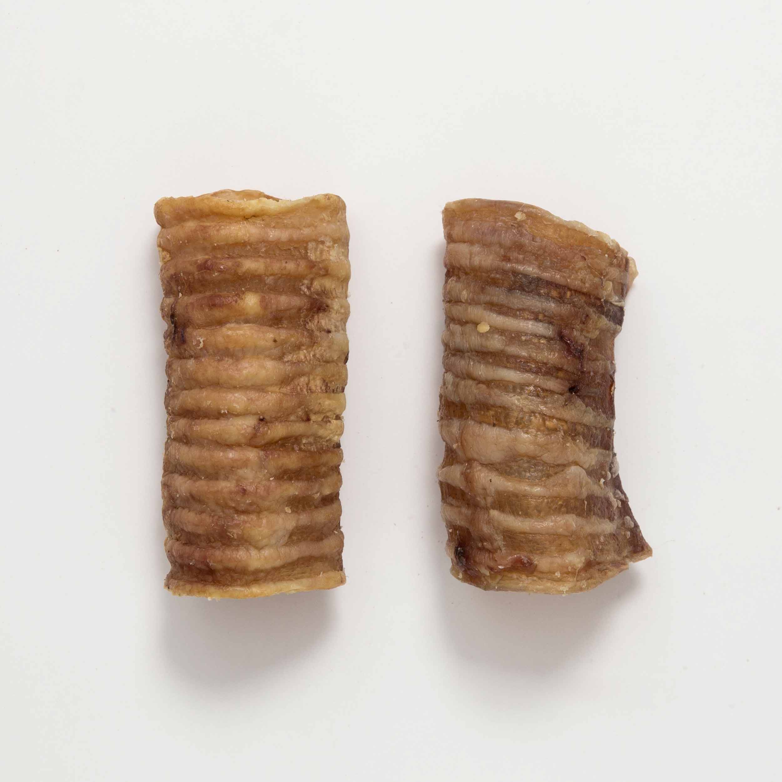 Snack de Tráquea de Ternera Deshidratada 100% Natural para Perro